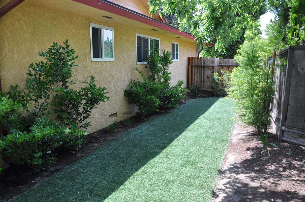 Bowling Area Sod
