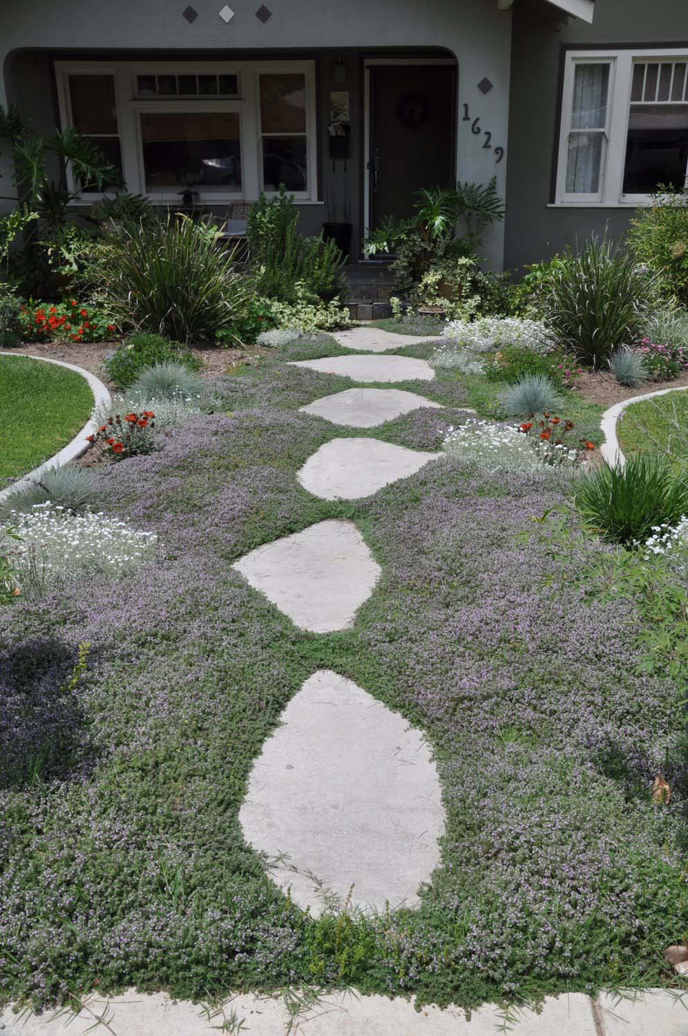 Magical Path