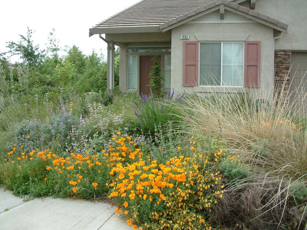 California Native Gardens