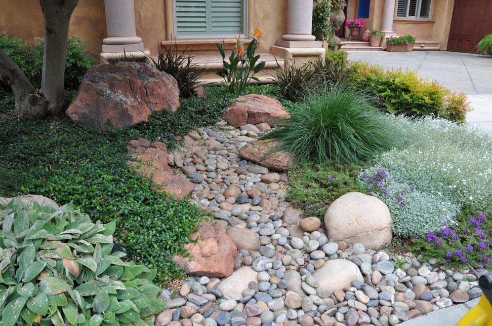 Dry Creek Beds