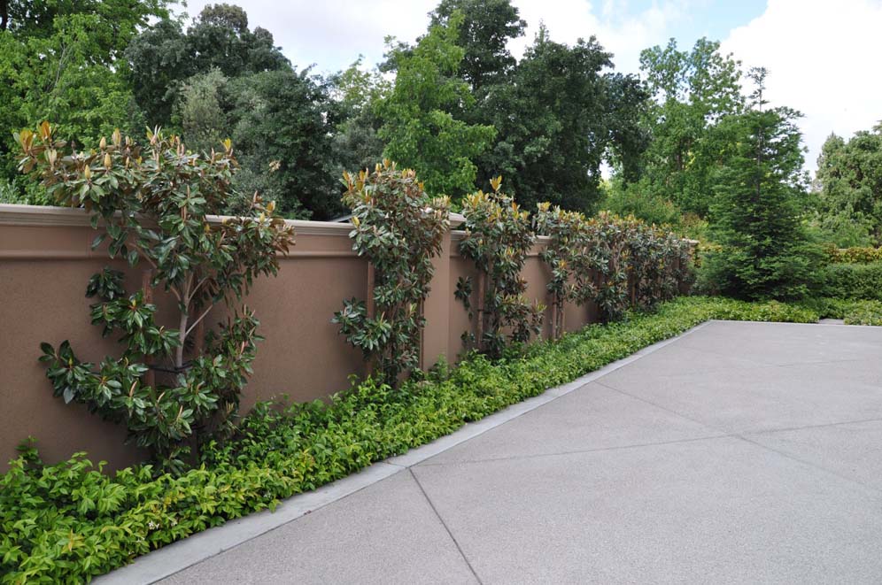 Lush and Lovely Wall Detail