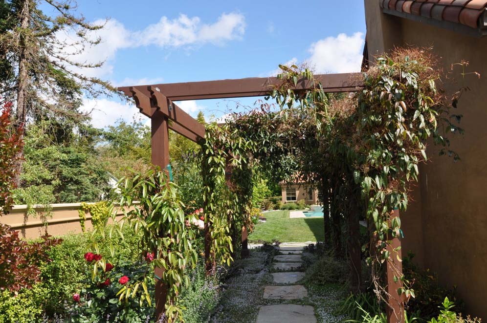 Lush and Lovely Trellis Treatment