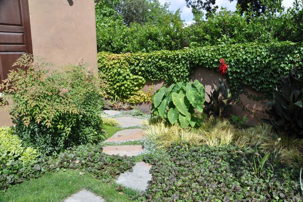 Lush and Lovely Around the Corner