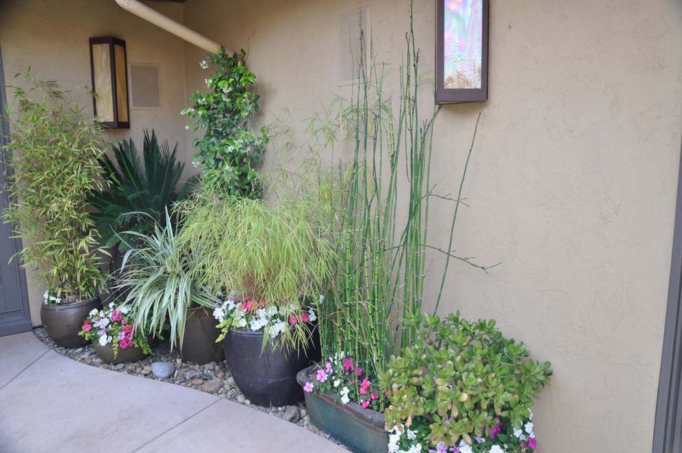Sanctuary Garden Entry Pots