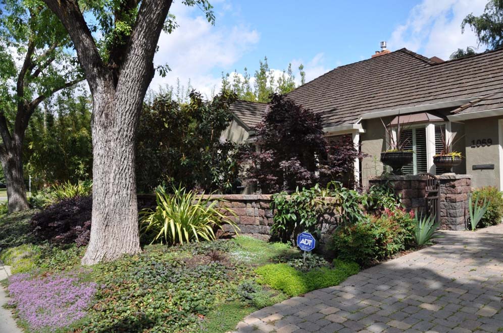 Shade Garden Front Yard