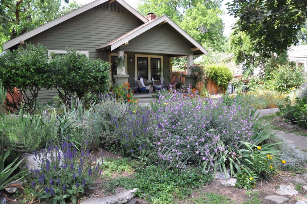 Central Valley Flower Garden