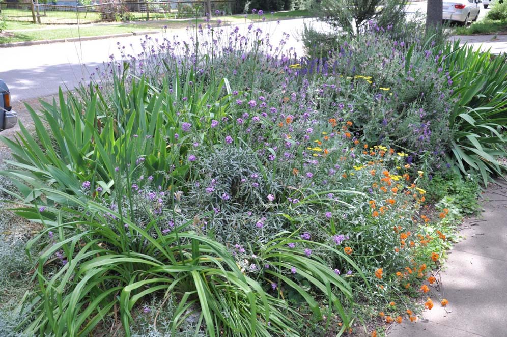 Flower Garden Parking Strip