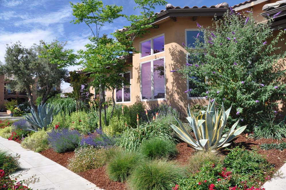 Mediterranean Gardens