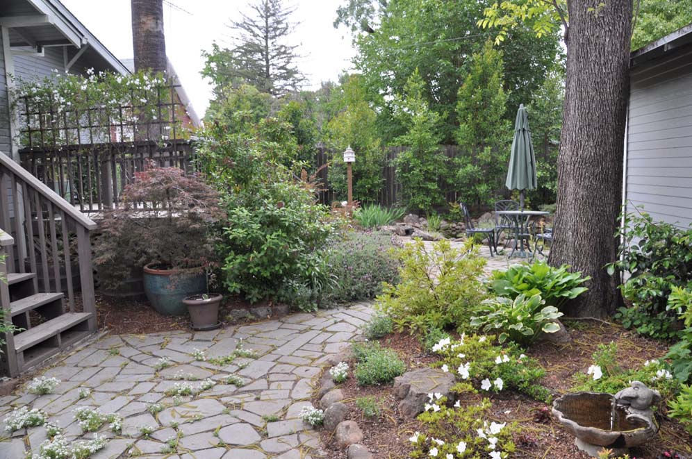 Terra Design Garden