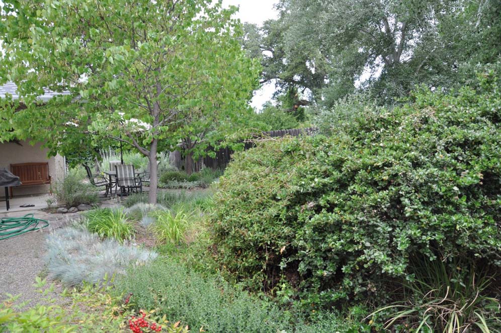 Back Meadow Back View