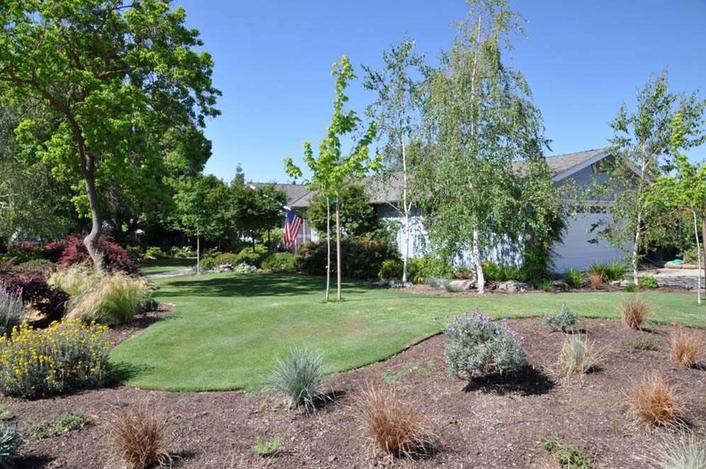 Red Splash Lawn