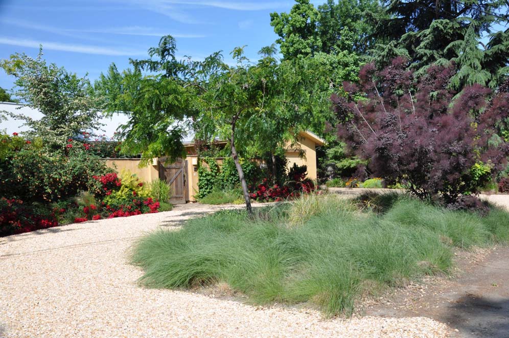 Circular Driveway